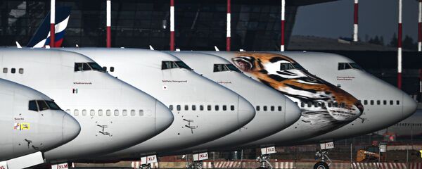 Самолеты на стоянке в аэропорту Шереметьево - 俄羅斯衛星通訊社