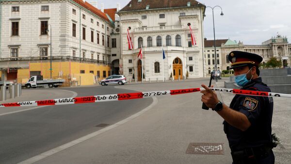 Полиция возле здания дворца Хофбург в Вене - 俄羅斯衛星通訊社