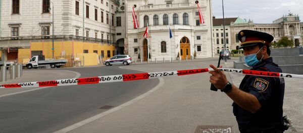 Полиция возле здания дворца Хофбург в Вене Полиция возле здания дворца Хофбург в Вене - 俄羅斯衛星通訊社