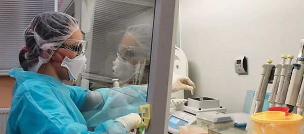  Сотрудник лаборатории ФБУЗ 'Центр гигиены и эпидемиологии в Санкт-Петербурге во время тестирования проб на коронавирус - 俄罗斯卫星通讯社