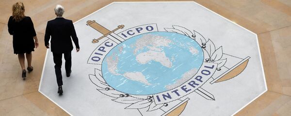 Холл штаб-квартиры Интерпола в Лионе - 俄罗斯卫星通讯社