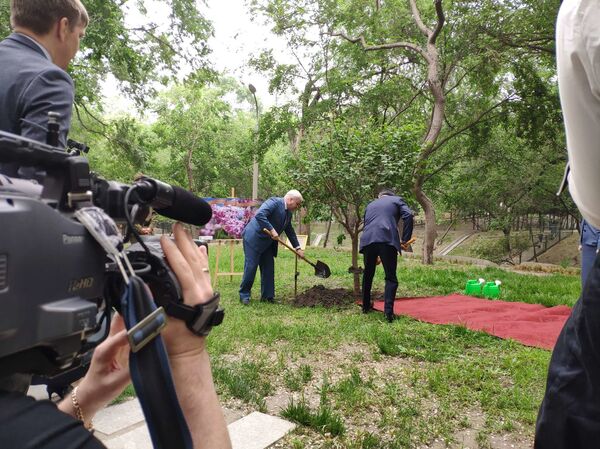 俄駐華使館在五九勝利日前夕栽種“勝利丁香” - 俄羅斯衛星通訊社