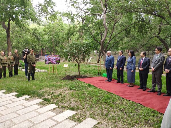 俄駐華使館在五九勝利日前夕栽種“勝利丁香” - 俄羅斯衛星通訊社