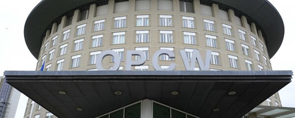 Организация по запрещению химического оружия (ОЗХО) - 俄罗斯卫星通讯社