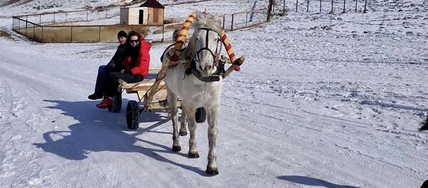 Туристов катают на телеге в этнокомплексе Степной ковечник, Заиграевский район, Бурятия - 俄罗斯卫星通讯社