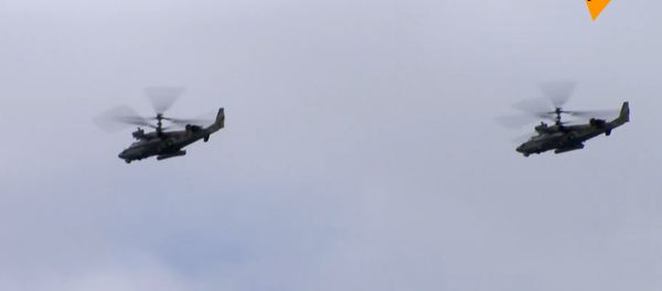 伟大卫国战争胜利75周年空中阅兵总彩排  - 俄罗斯卫星通讯社