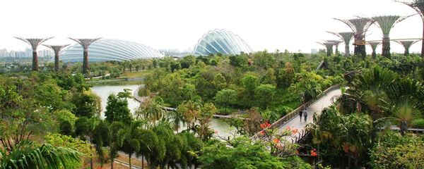 中国外交部：中方愿意同新加坡继续统筹好抗疫合作和发展合作 助力两国各自经济发展 - 俄罗斯卫星通讯社