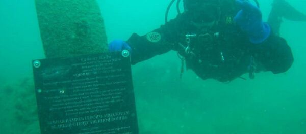 新羅西斯克海底鐫刻伊爾-2飛行員紀念牌 - 俄羅斯衛星通訊社