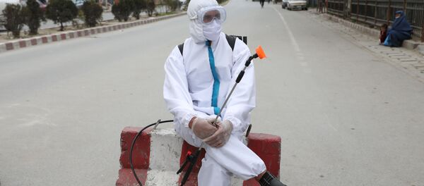  Сотрудник Афганской национальной службы закупок во время дезинфекции улиц в Кабуле, Афганистан - 俄罗斯卫星通讯社