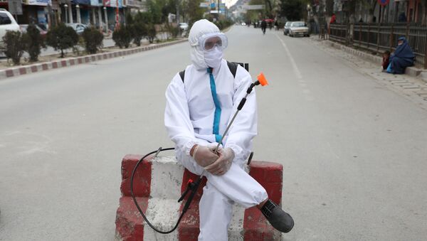  Сотрудник Афганской национальной службы закупок во время дезинфекции улиц в Кабуле, Афганистан - 俄罗斯卫星通讯社