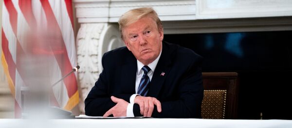 U.S. President Donald Trump U.S. President Donald Trump - 俄羅斯衛星通訊社