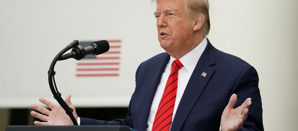 Президент США Дональд Трамп на брифинге - 俄羅斯衛星通訊社