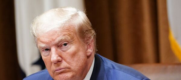 US President Donald Trump - 俄罗斯卫星通讯社