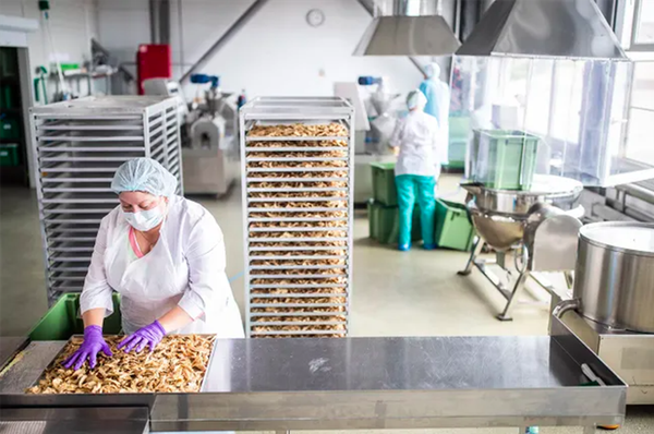 植物肉和机器人技术：俄罗斯初创公司因祸得福 - 俄罗斯卫星通讯社