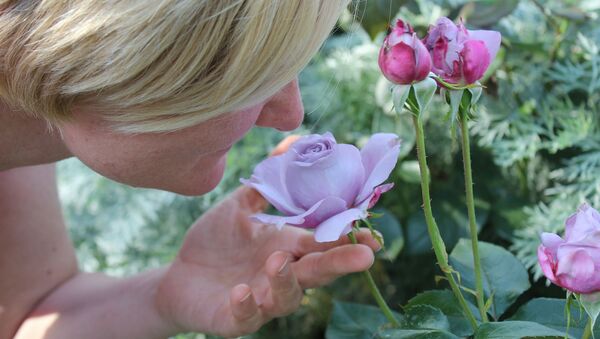 Женщина нюхает цветок - 俄罗斯卫星通讯社