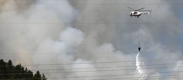 俄消防部門一天內撲滅96處自然火災 - 俄羅斯衛星通訊社