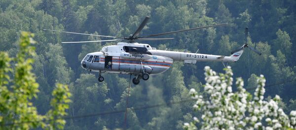 俄羅斯森林消防部門一天內撲滅97處林火 - 俄羅斯衛星通訊社