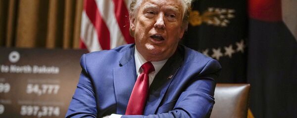 Президент Дональд Трамп на заседании в Белом доме в Вашингтоне - 俄罗斯卫星通讯社