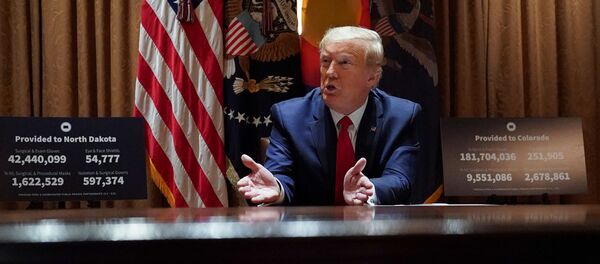 Президент Дональд Трамп на встрече в Белом доме в Вашингтоне - 俄罗斯卫星通讯社