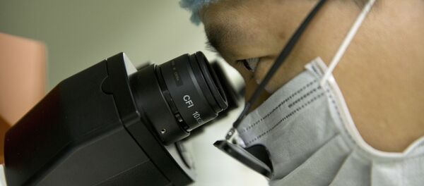 Микроскоп - 俄罗斯卫星通讯社