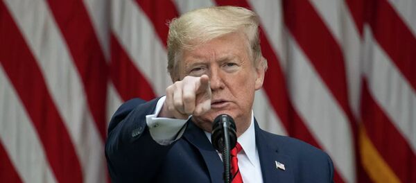 Президент США Дональд Трамп Президент США Дональд Трамп - 俄罗斯卫星通讯社