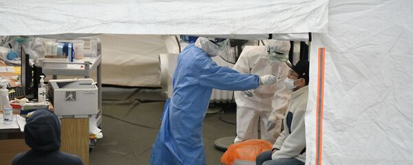 首尔新冠肺炎检测 - 俄罗斯卫星通讯社