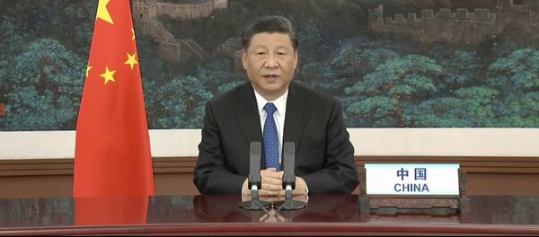 This video grab taken on May 18, 2020 from the website of the World Health Organization shows Chinese President Xi Jinping delivering a speech via video link at the opening of the World Health Assembly virtual meeting from the WHO headquarters in Geneva - 俄罗斯卫星通讯社