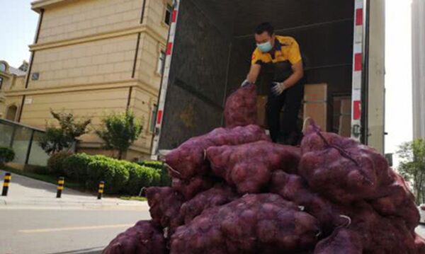 女子给前男友快递一吨洋葱：我哭了3天，该你哭了！ - 俄罗斯卫星通讯社