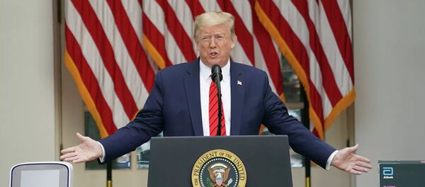 Президент США Дональд Трамп - 俄罗斯卫星通讯社