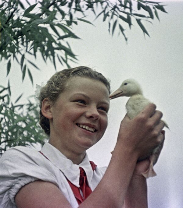 1961年手捧小鳥的蘇聯學生 - 俄羅斯衛星通訊社