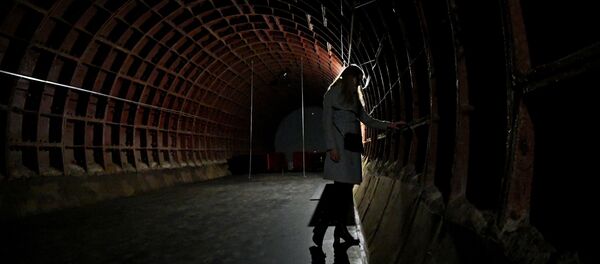 Посетительница в бурнкере - 俄罗斯卫星通讯社