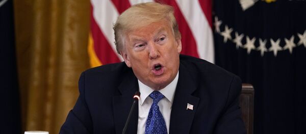 Президент США Дональд Трамп - 俄罗斯卫星通讯社