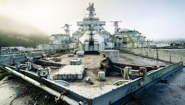 Кладбище военных кораблей, найденное фотографом Бобом Тиссеном - 俄羅斯衛星通訊社