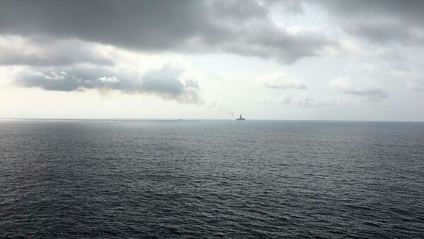 加蓬国防部：中印两国公民在加蓬沿海遭海盗绑架 - 俄罗斯卫星通讯社