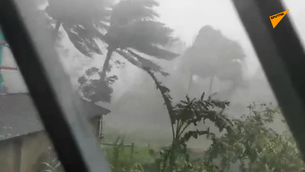 飓风“安潘”袭击印度和孟加拉国  - 俄罗斯卫星通讯社