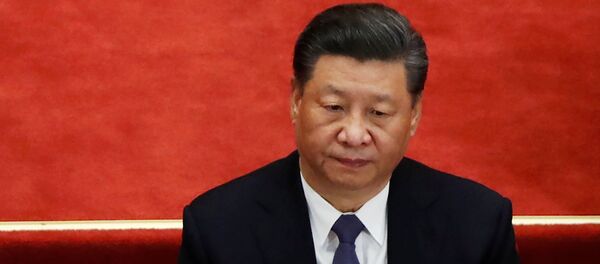 Си Цзиньпин на Сессии Национального комитета Народного политического консультативного совета Китая (НПКСК). 21 мая 2020 - 俄罗斯卫星通讯社