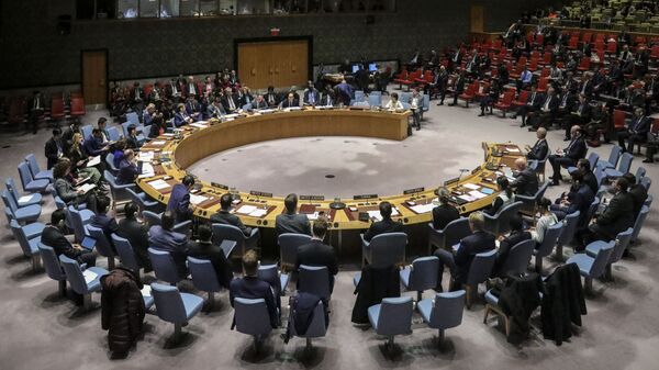 Заседание Совета безопасности ООН в Нью-Йорке - 俄罗斯卫星通讯社