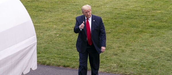 Президент Дональд Трамп в Вашингтоне - 俄罗斯卫星通讯社