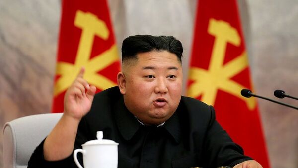 Выступление Ким Чен Ына на заседании Центрального военного комитета ТПК, май 2020 - 俄羅斯衛星通訊社