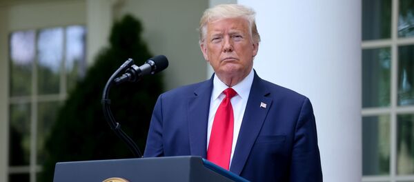 Президент США Дональд Трамп на пресс-конференции в Белом доме - 俄罗斯卫星通讯社