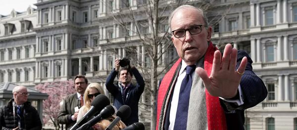 White House economic adviser Larry Kudlow - 俄羅斯衛星通訊社
