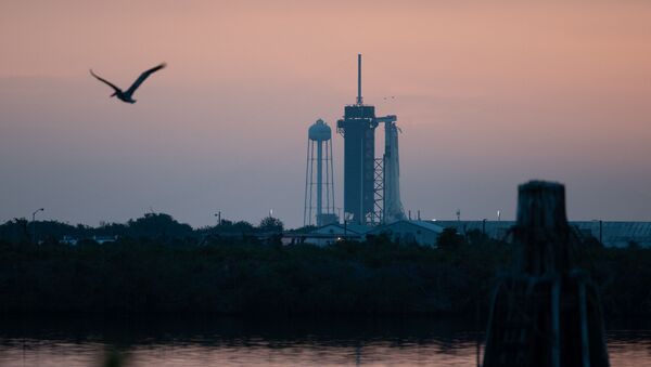 Вид на американский космический корабль Crew Dragon, установленный на стартовой площадке Launch Complex 39A на острове Уилсон во Флориде.  - 俄罗斯卫星通讯社