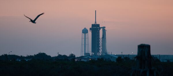 Вид на американский космический корабль Crew Dragon, установленный на стартовой площадке Launch Complex 39A на острове Уилсон во Флориде. Вид на американский космический корабль Crew Dragon, установленный на стартовой площадке Launch Complex 39A на острове Уилсон во Флориде. - 俄罗斯卫星通讯社