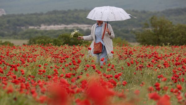 Девушка с зонтиком на маковом поле в Крыму - 俄罗斯卫星通讯社