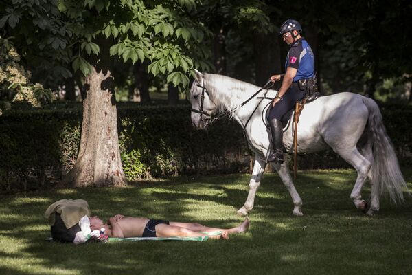 Сотрудник конной полиции и отдыхающий мужчина в парке дель Ретиро в Мадриде - 俄罗斯卫星通讯社