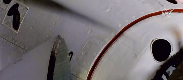 the SpaceX Dragon crew capsule - 俄罗斯卫星通讯社