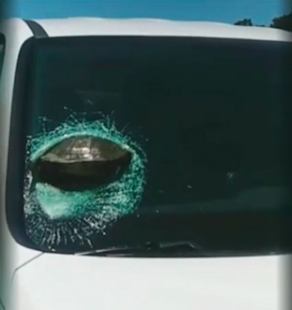 美國高速路驚險一幕 烏龜穿透擋風玻璃 - 俄羅斯衛星通訊社