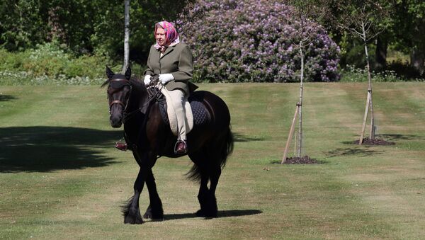 Королева Великобритании Елизавета II на пони в парке Windsor Home  - 俄罗斯卫星通讯社