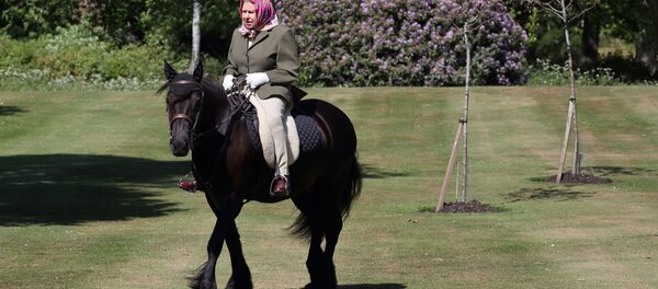 Королева Великобритании Елизавета II на пони в парке Windsor Home  - 俄罗斯卫星通讯社