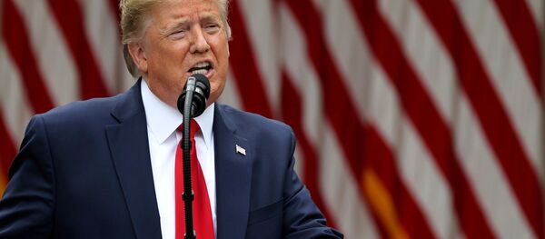 Президент США Дональд Трамп во время выступления в Белом доме, Вашингтон Президент США Дональд Трамп во время выступления в Белом доме, Вашингтон - 俄罗斯卫星通讯社